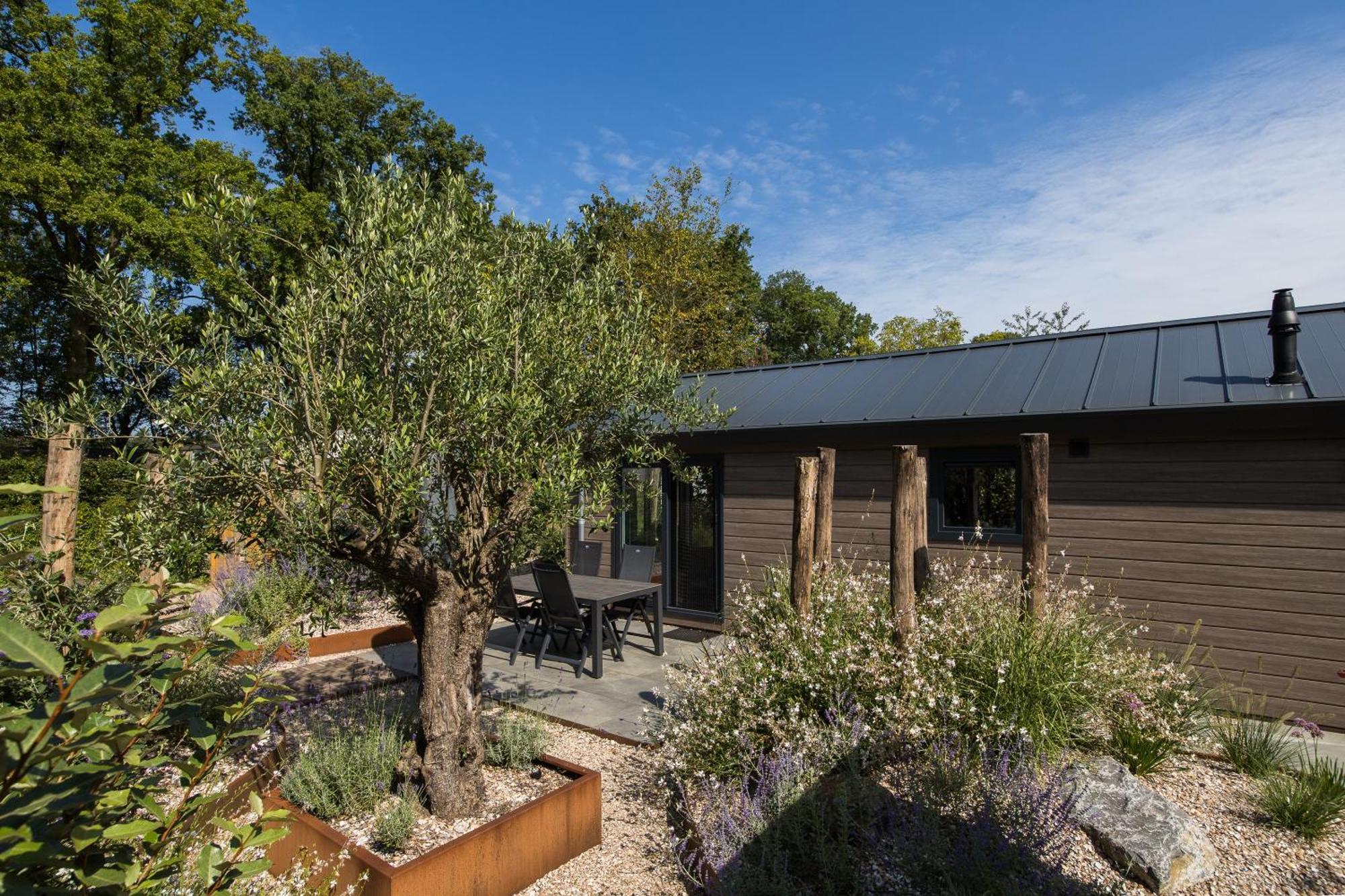 Modern Ingericht Chalet Op Groen Park Op De Veluwe Epe Bagian luar foto