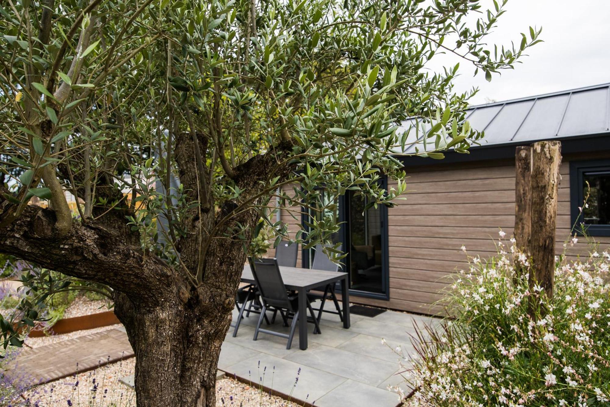Modern Ingericht Chalet Op Groen Park Op De Veluwe Epe Bagian luar foto