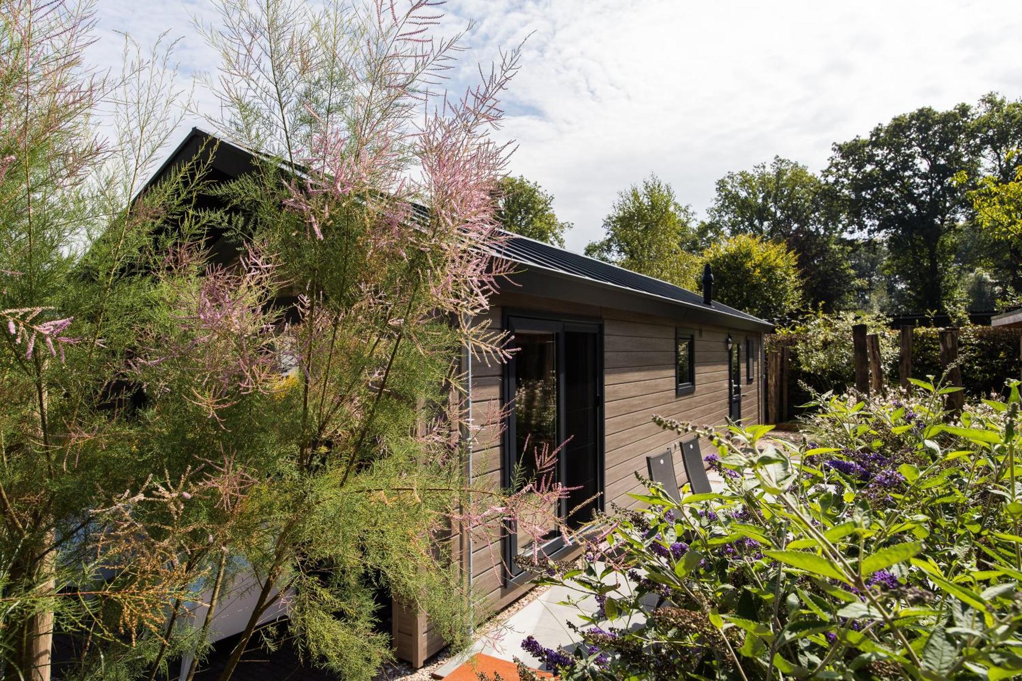 Modern Ingericht Chalet Op Groen Park Op De Veluwe Epe Bagian luar foto