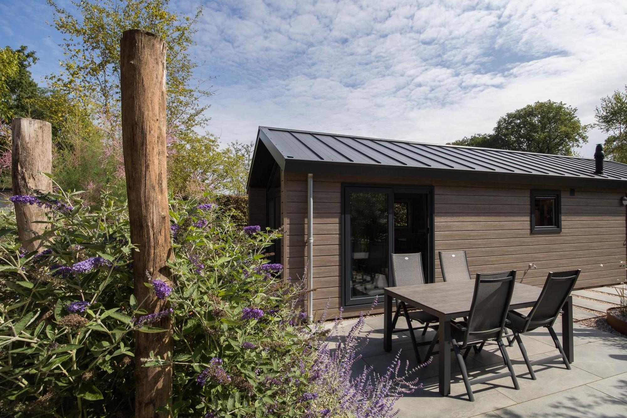 Modern Ingericht Chalet Op Groen Park Op De Veluwe Epe Bagian luar foto