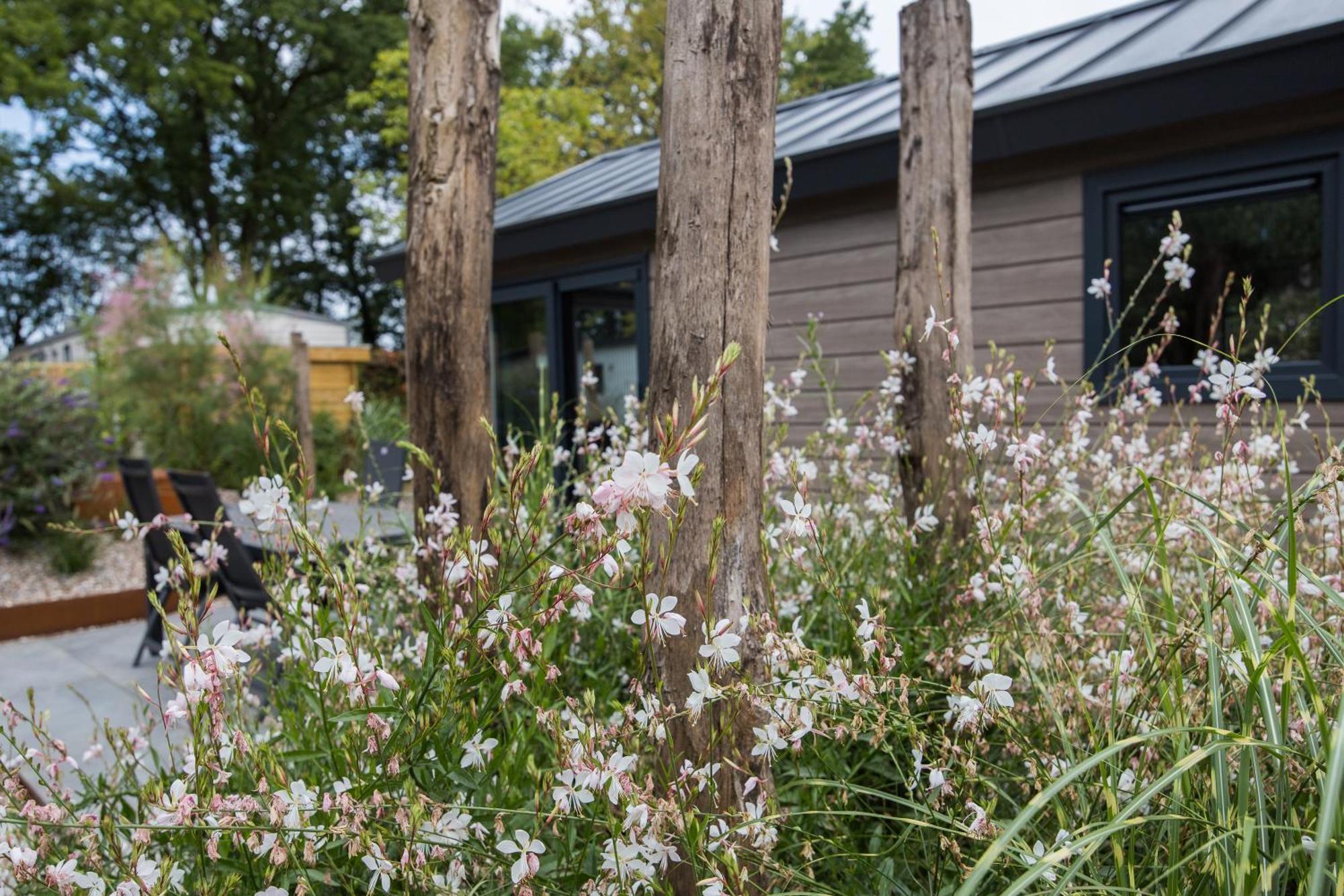 Modern Ingericht Chalet Op Groen Park Op De Veluwe Epe Bagian luar foto